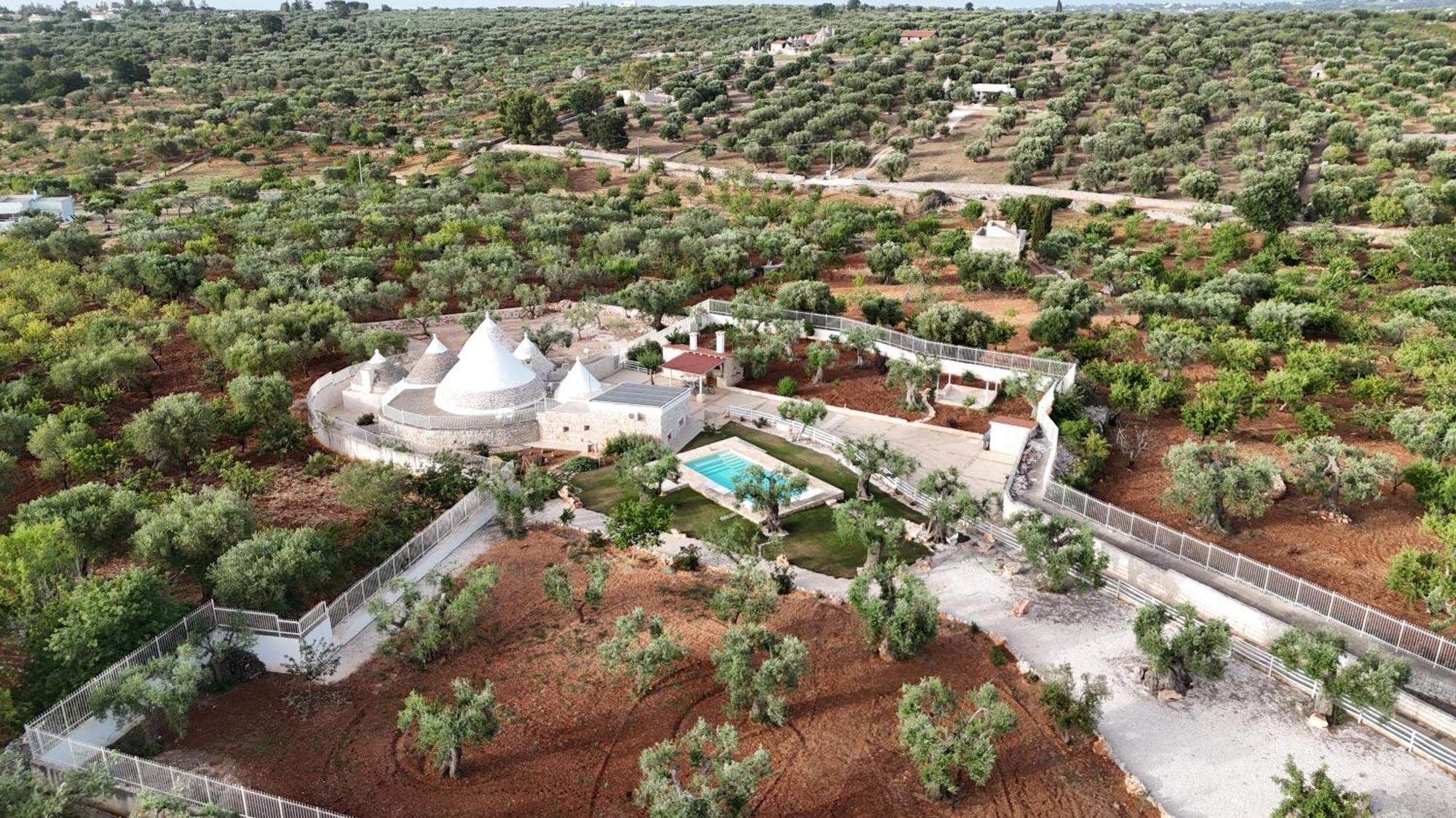 شقة Trulli Lisanna - Apulian Hideaway With Pool Antonelli المظهر الخارجي الصورة